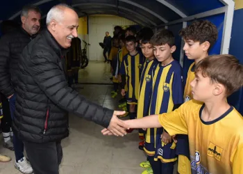 Meyveler toplanıyor