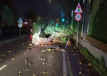 Bursa’da fırtına kaynaklı 607 olaya müdahale edildi