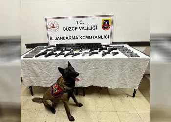 Düzce’de kaçak silah operasyonu