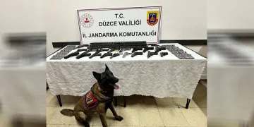 Düzce’de kaçak silah operasyonu