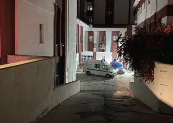 Koyunlarına kamyon çarpmasın diye hayatından oldu