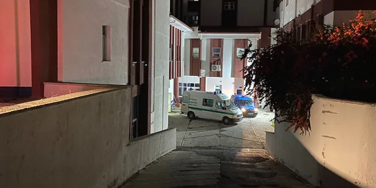 Koyunlarına kamyon çarpmasın diye hayatından oldu