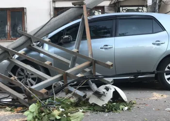 Bursa’da lodos ağaç ve elektrik direğini devirdi