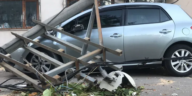 Bursa’da lodos ağaç ve elektrik direğini devirdi