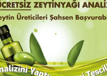 Ücretsiz zeytinyağı analizi başvuruları başladı