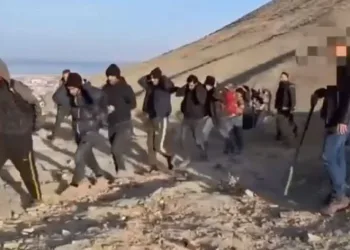 Van’da 2 organizatör tutuklandı