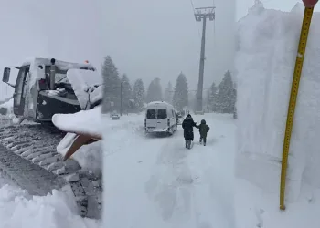 Kimisi zıplayarak kurtuldu, kimisini aracı sürükledi