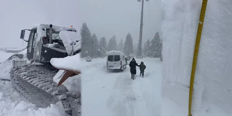 Kimisi zıplayarak kurtuldu, kimisini aracı sürükledi