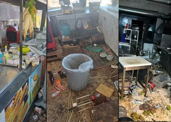 Uludağ’da aç kalan ayılar dükkanları talan etti