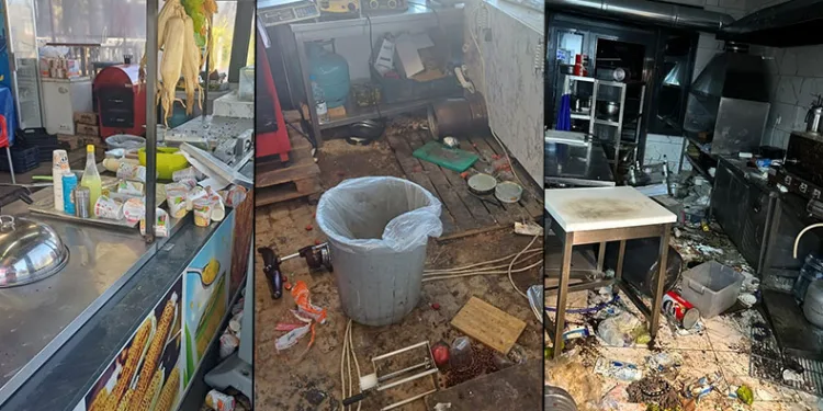 Uludağ’da aç kalan ayılar dükkanları talan etti