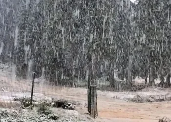 Mevsimin ilk kar yağışı başladı