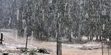 Mevsimin ilk kar yağışı başladı