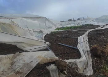 Fırtına seralarda zarara yol açtı