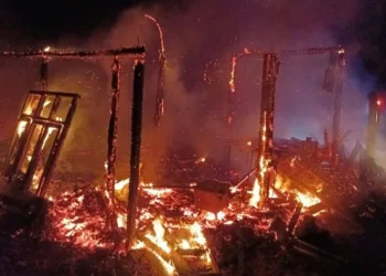 Mısır tezgahını yakan şahıs tutuklandı