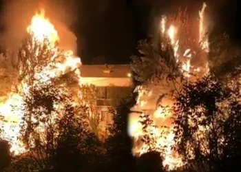 Ağaçlık alanda çıkan yangın korku dolu anlar yaşattı