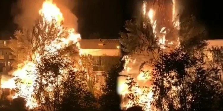 Ağaçlık alanda çıkan yangın korku dolu anlar yaşattı