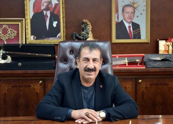 Hayvancılığın en büyük sorunu yem açığı