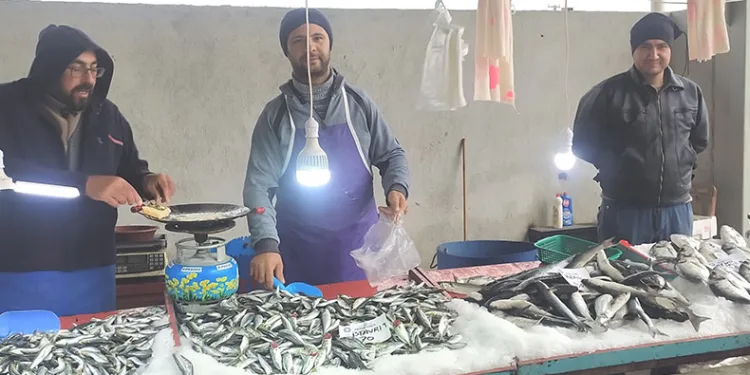 Balık bollaştı, fiyatlar düştü