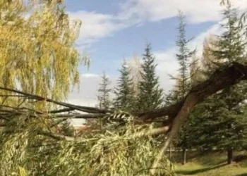 Nevşehir’de çatılar uçtu, ağaçlar devrildi
