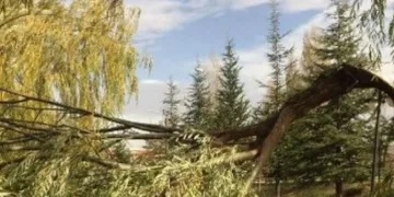 Nevşehir’de çatılar uçtu, ağaçlar devrildi