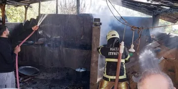 Hatay’da ahırda samanlık yanarak kül oldu