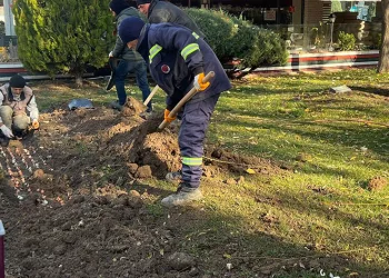 Sincan’da lale soğanı toprakla buluştu