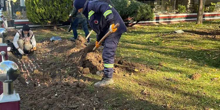 Sincan’da lale soğanı toprakla buluştu