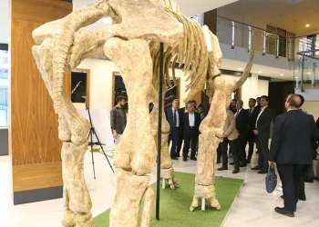 7,5 milyonluk fosil faunası sergilenecek
