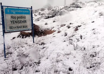 Yenişehir Belediyesi önlemlerini aldı