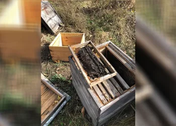 10 kovanı parçaladı, binlerce arıyı telef etti