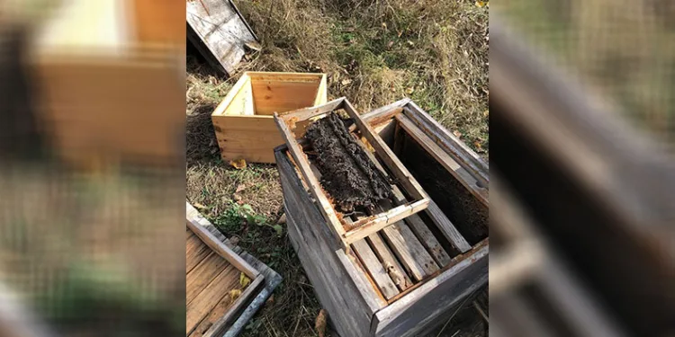 10 kovanı parçaladı, binlerce arıyı telef etti