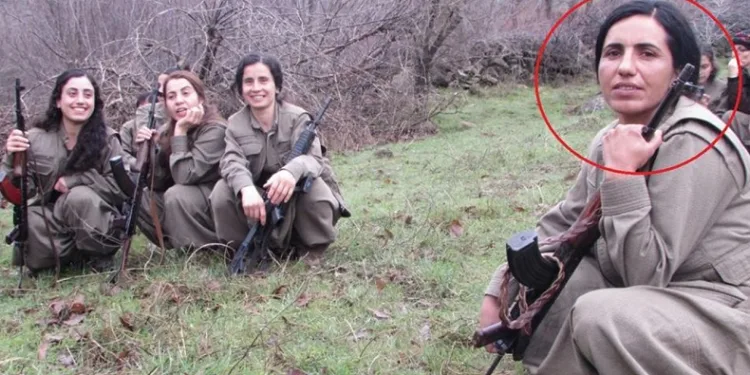 MİT’in sınır ötesi operasyonları devam ediyor