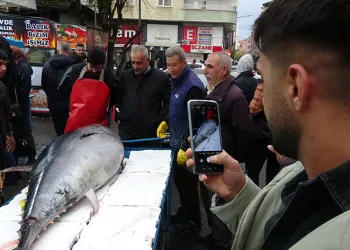 2 metreden büyük orkinos