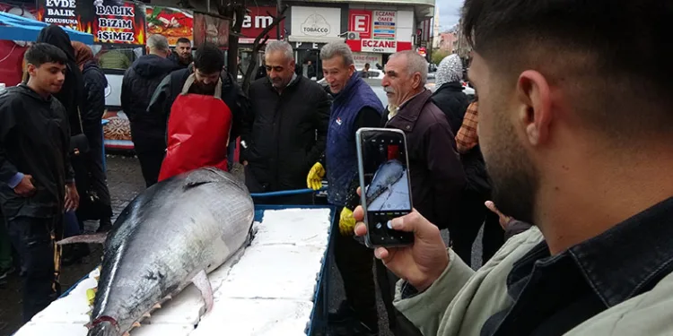 2 metreden büyük orkinos
