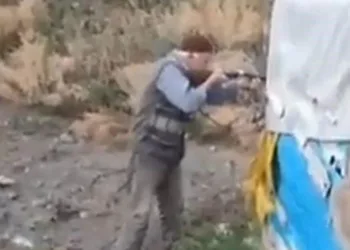 Yolun ortasında 2 köpeği vurdu