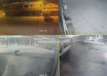Sokakları süpüren temizlik işçisinin karşısına ayı çıktı