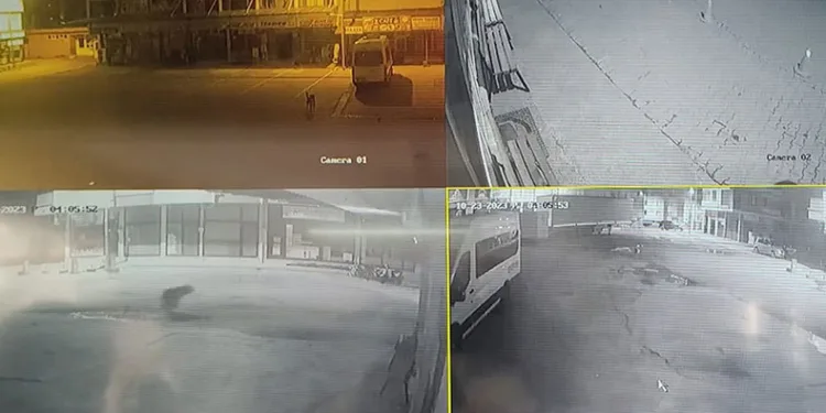 Sokakları süpüren temizlik işçisinin karşısına ayı çıktı