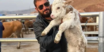 Hobisi mesleğine dönüştü