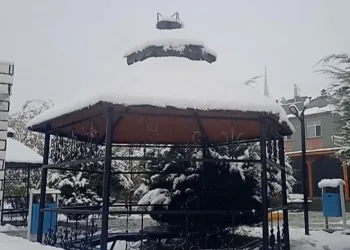 Özalp’a mevsimin ilk karı yağdı