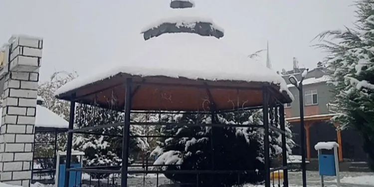 Özalp’a mevsimin ilk karı yağdı