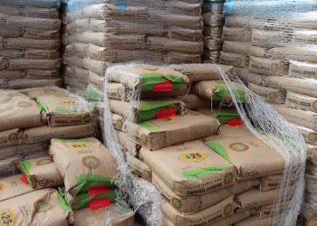 Çiftçiye 392 ton tohumluk dağıtıldı