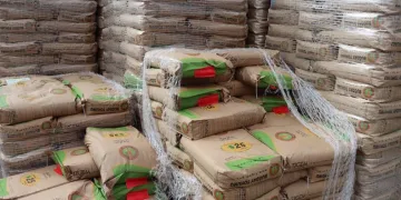 Çiftçiye 392 ton tohumluk dağıtıldı