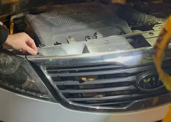 Polisin dikkati kediyi ölümden kurtardı