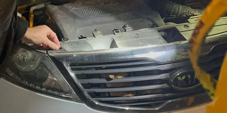 Polisin dikkati kediyi ölümden kurtardı
