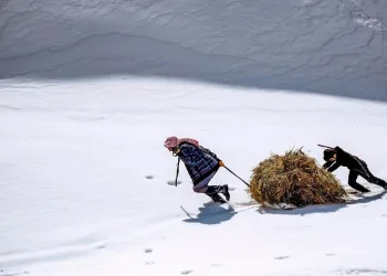 Yardımlaşmanın fotoğrafı