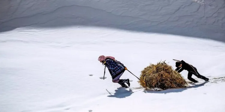 Yardımlaşmanın fotoğrafı