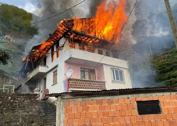 Trabzon’un Sürmene ilçesinde korkutan yangın