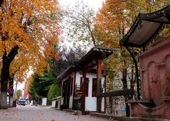 Kastamonu’da sonbahar renkleri büyüledi