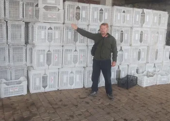 Tarım Kredi zeytin üreticisini yüzüstü bıraktı