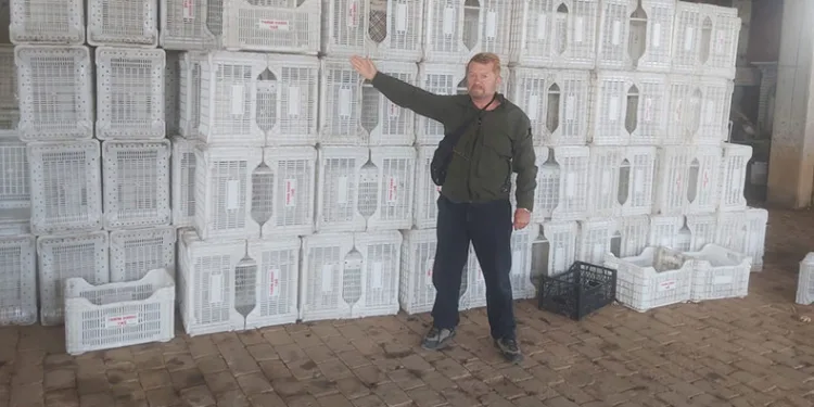 Tarım Kredi zeytin üreticisini yüzüstü bıraktı